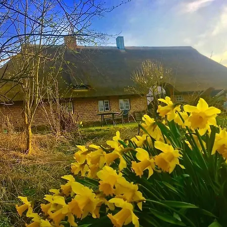 Mit Luxusbad, Terrasse Ostseenaehe Apartment