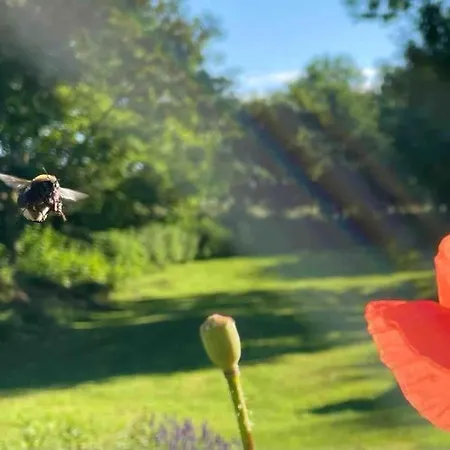Mit Luxusbad, Terrasse Ostseenaehe * Gremersdorf
