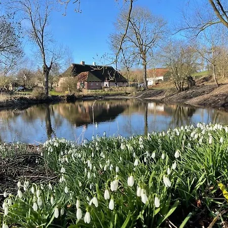 Apartment Mit Luxusbad, Terrasse Ostseenaehe Gremersdorf