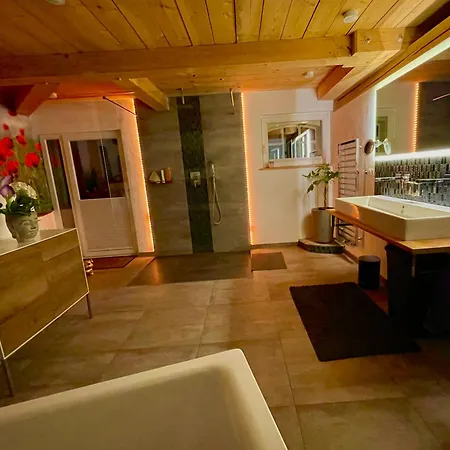Mit Luxusbad, Terrasse Ostseenaehe *
