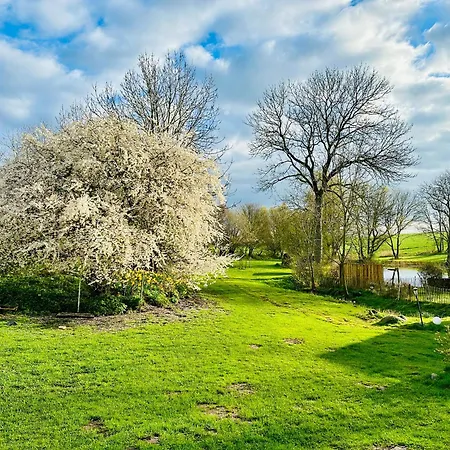 Mit Luxusbad, Terrasse Ostseenaehe * 格雷姆斯多夫