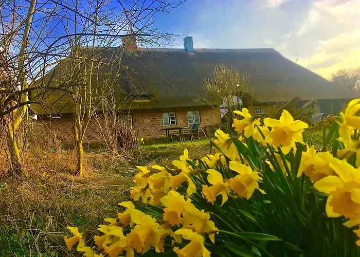 Mit Luxusbad, Terrasse Ostseenaehe Apartamento