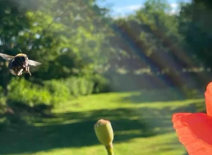 Mit Luxusbad, Terrasse Ostseenaehe * Gremersdorf