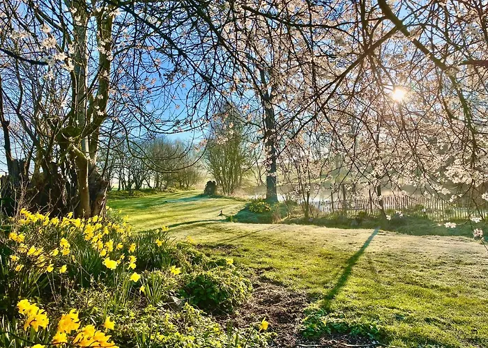 Mit Luxusbad, Terrasse Ostseenaehe * Gremersdorf